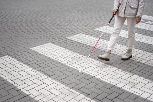 Handicap : l’UNSA appelle à garantir un niveau de vie décent
